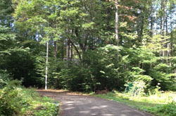 �����C���[�W04